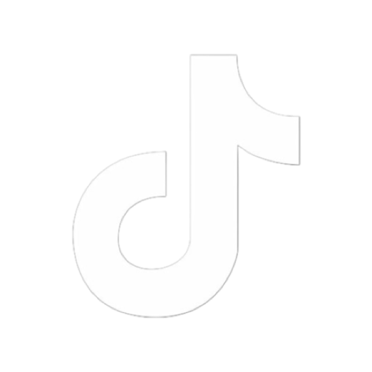 tiktok Icon